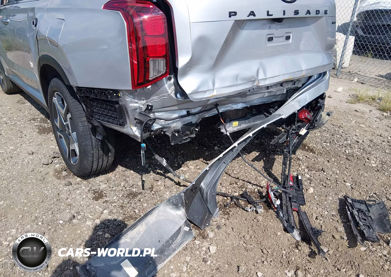 2025 Hyundai Palisade Sel Premium VIN:KM8R4DGE9SU824624 - 18