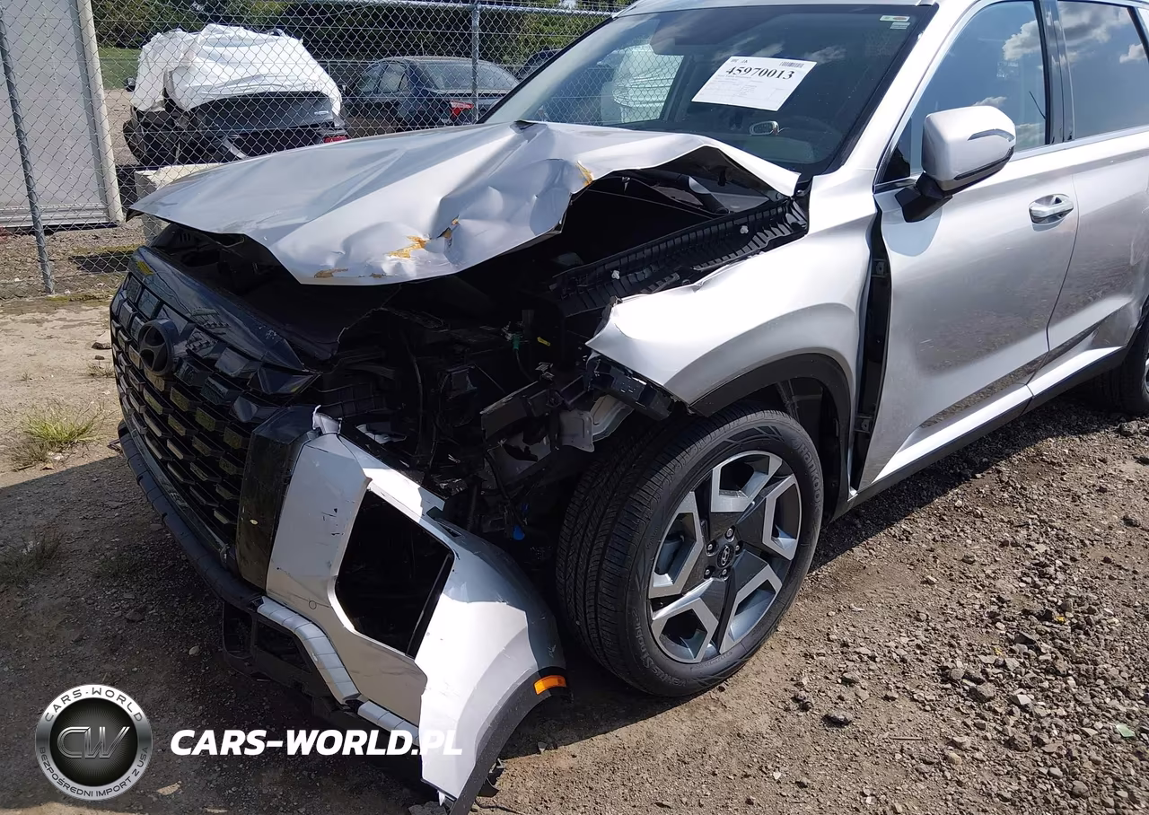 2025 Hyundai Palisade Sel Premium VIN:KM8R4DGE9SU824624 - 6