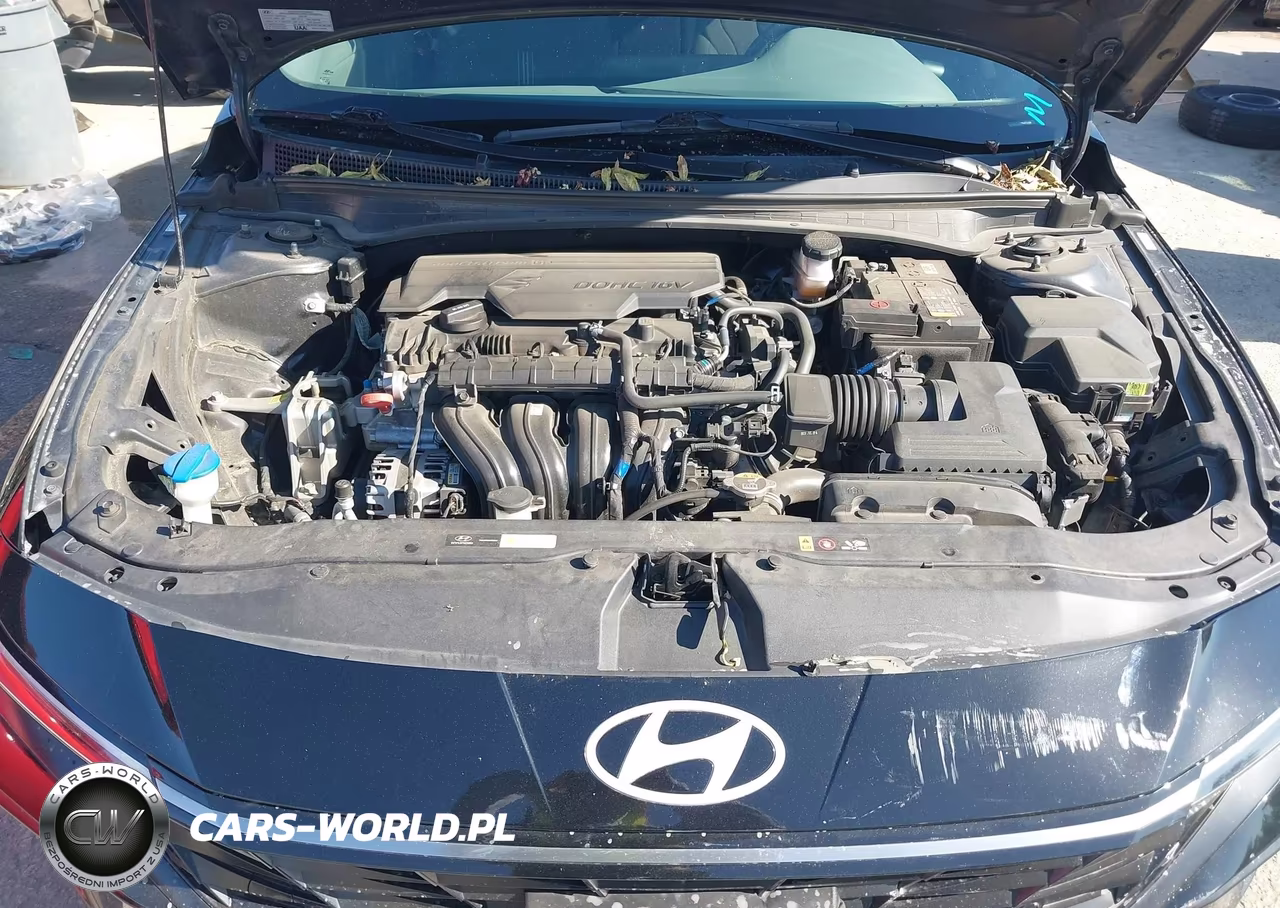 2024 Hyundai Elantra Sel VIN:KMHLS4DG1RU711133 - 10