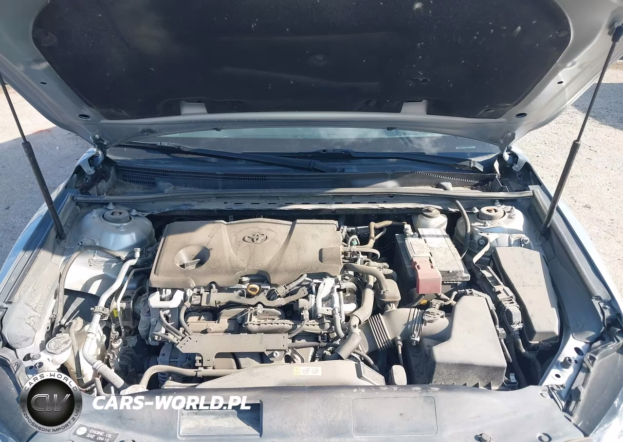 2020 Toyota Camry Se VIN:4T1G11AK4LU935242 - 10