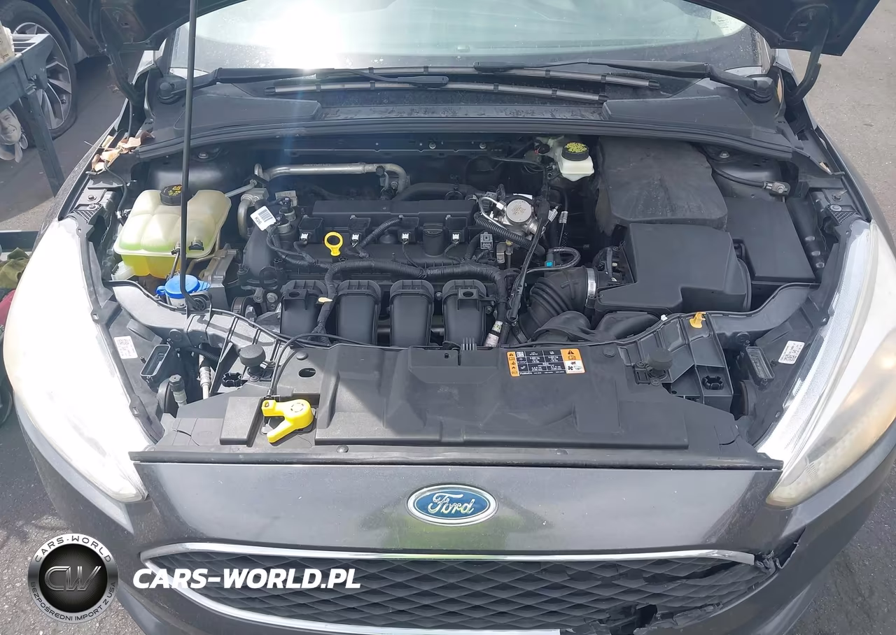 2017 Ford Focus Se VIN:1FADP3F27HL217942 - 10
