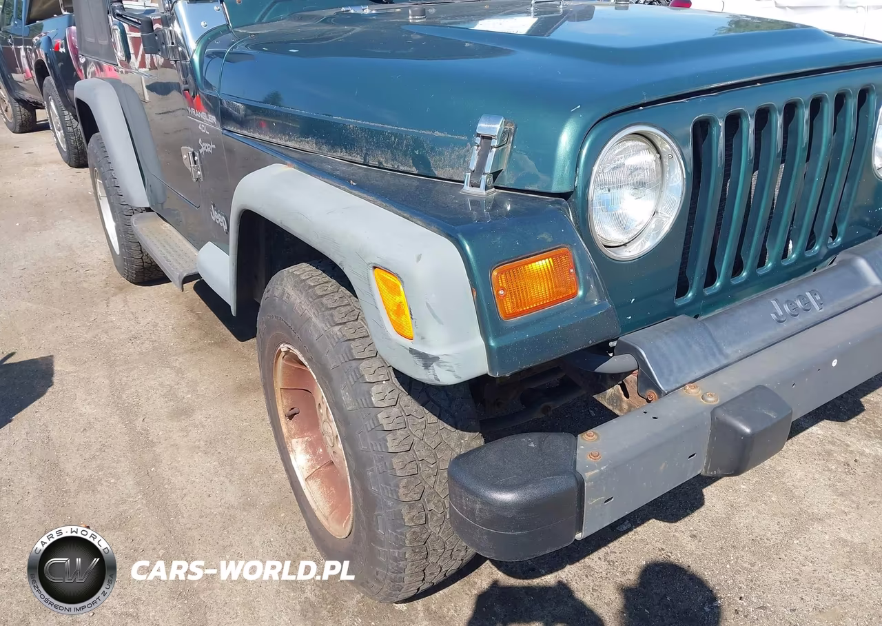 1999 Jeep Wrangler Sport VIN:1J4FY19SXXP494229 - 6
