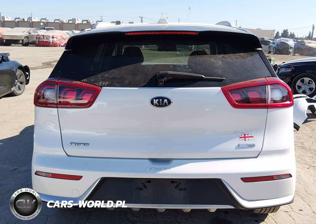 2017 Kia Niro Lx VIN:KNDCB3LCXH5058615 - 17