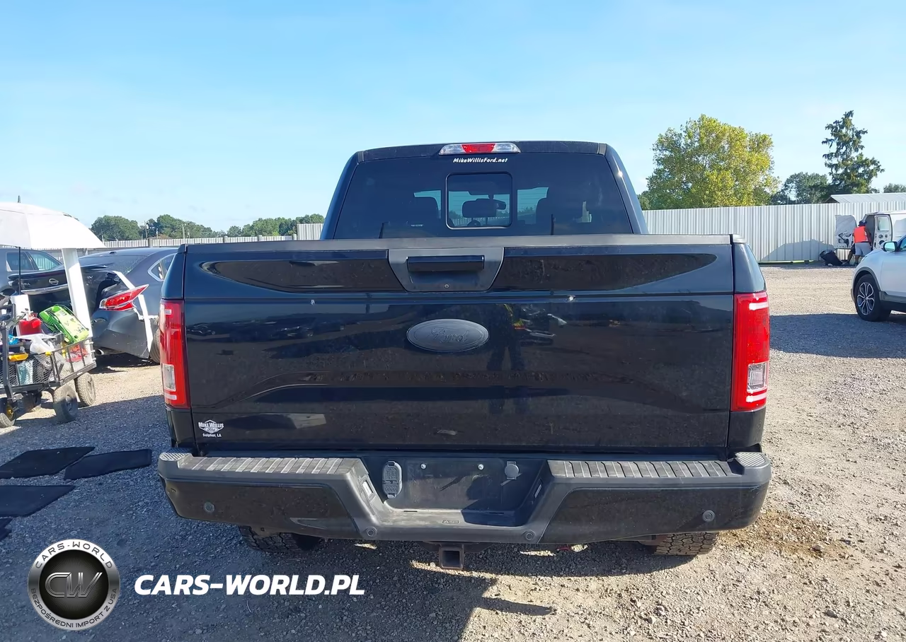 2017 Ford F-150 Xlt VIN:1FTEW1CP6HKC16700 - 17