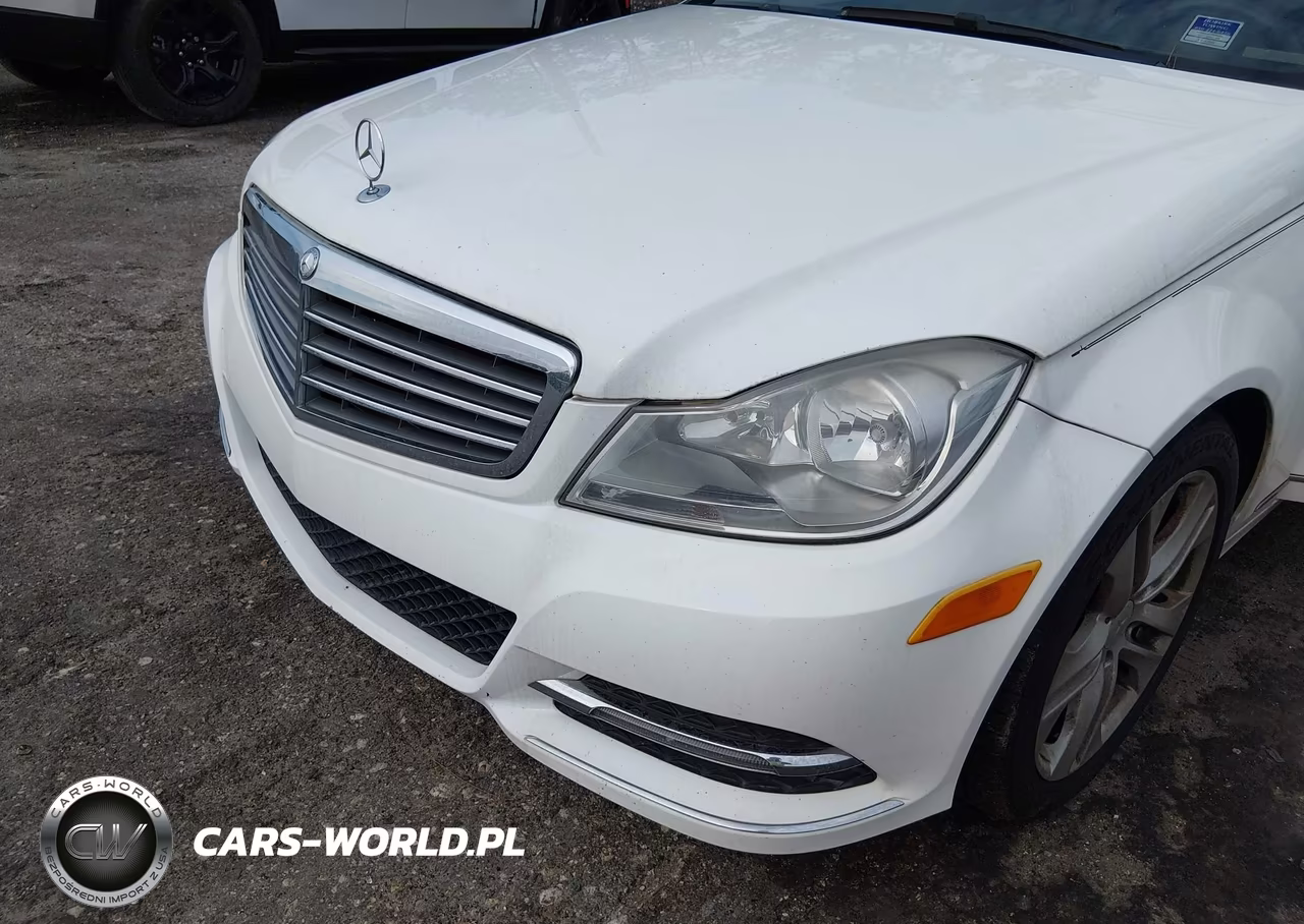 2014 Mercedes-Benz C 250 Luxury VIN:WDDGF4HB6EG246856 - 6