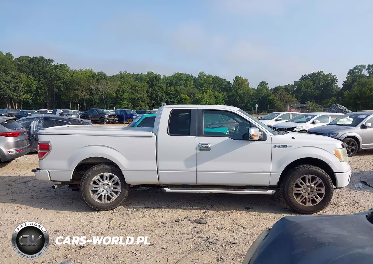 2011 Ford F-150 Xlt VIN:1FTEX1CM8BFB64196 - 13