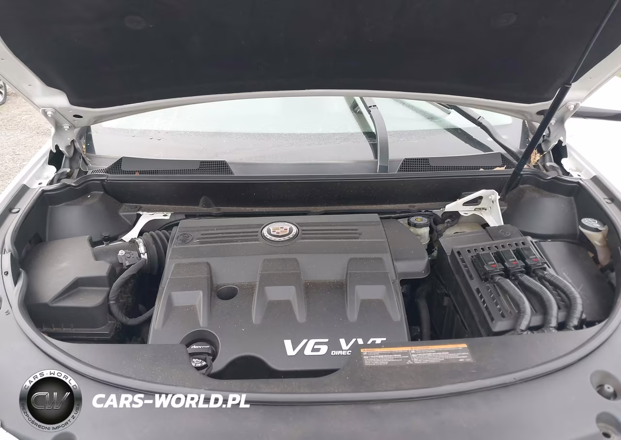 2013 Cadillac Srx Luxury Collection VIN:3GYFNCE37DS528689 - 10