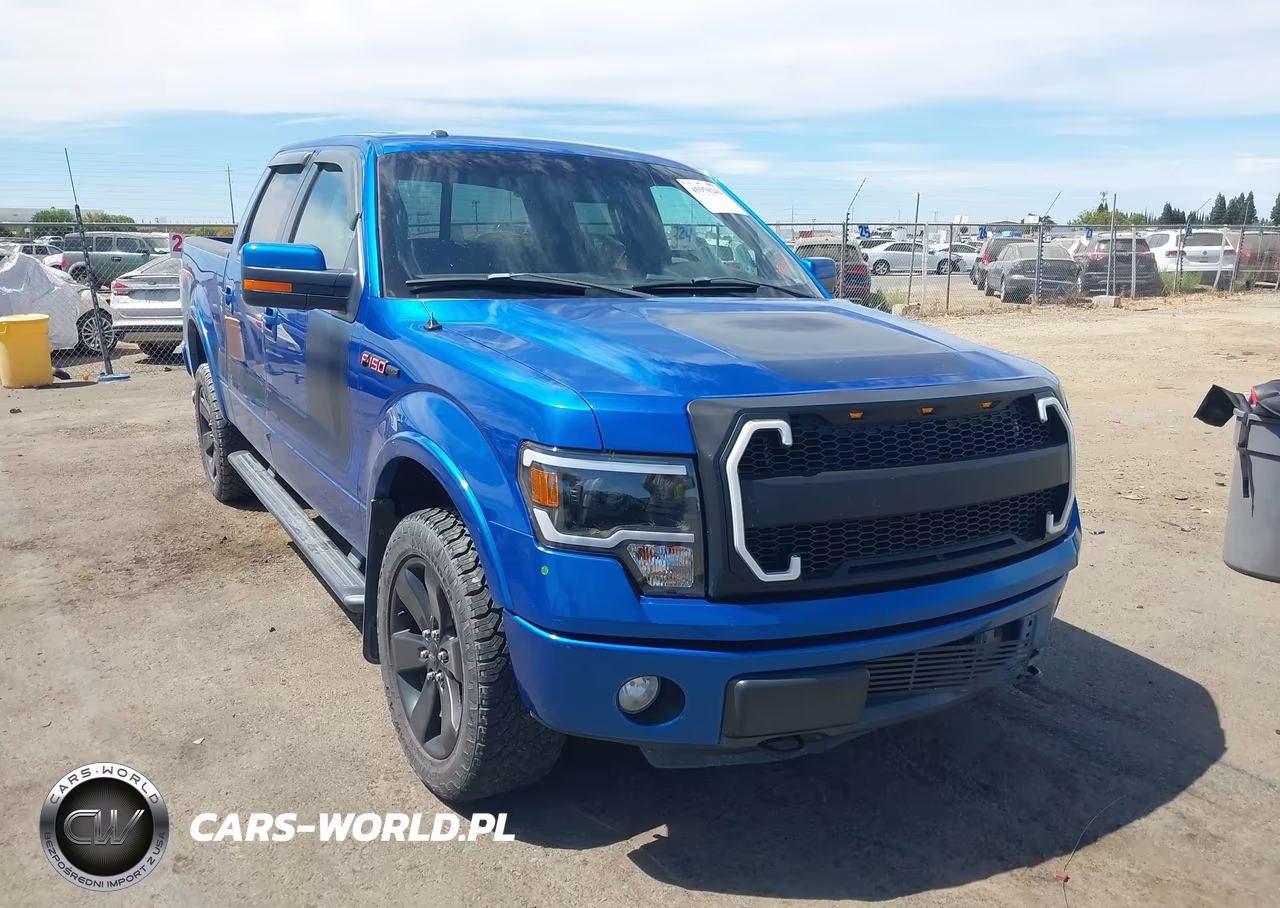 2013 Ford F-150 Fx4 – zdjęcie 1 z 16
