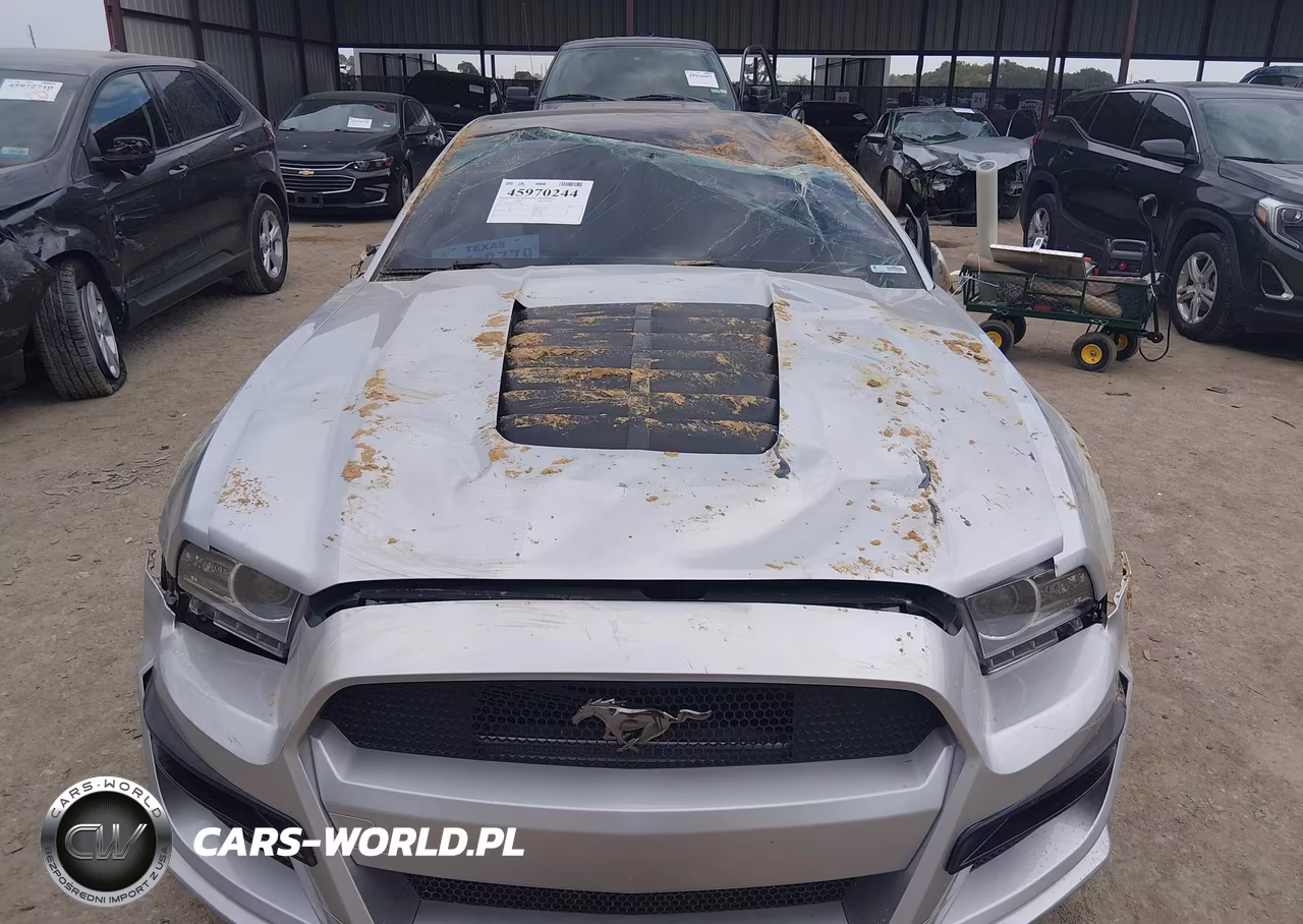 2013 Ford Mustang Gt Premium VIN:1ZVBP8CF9D5283748 - 12