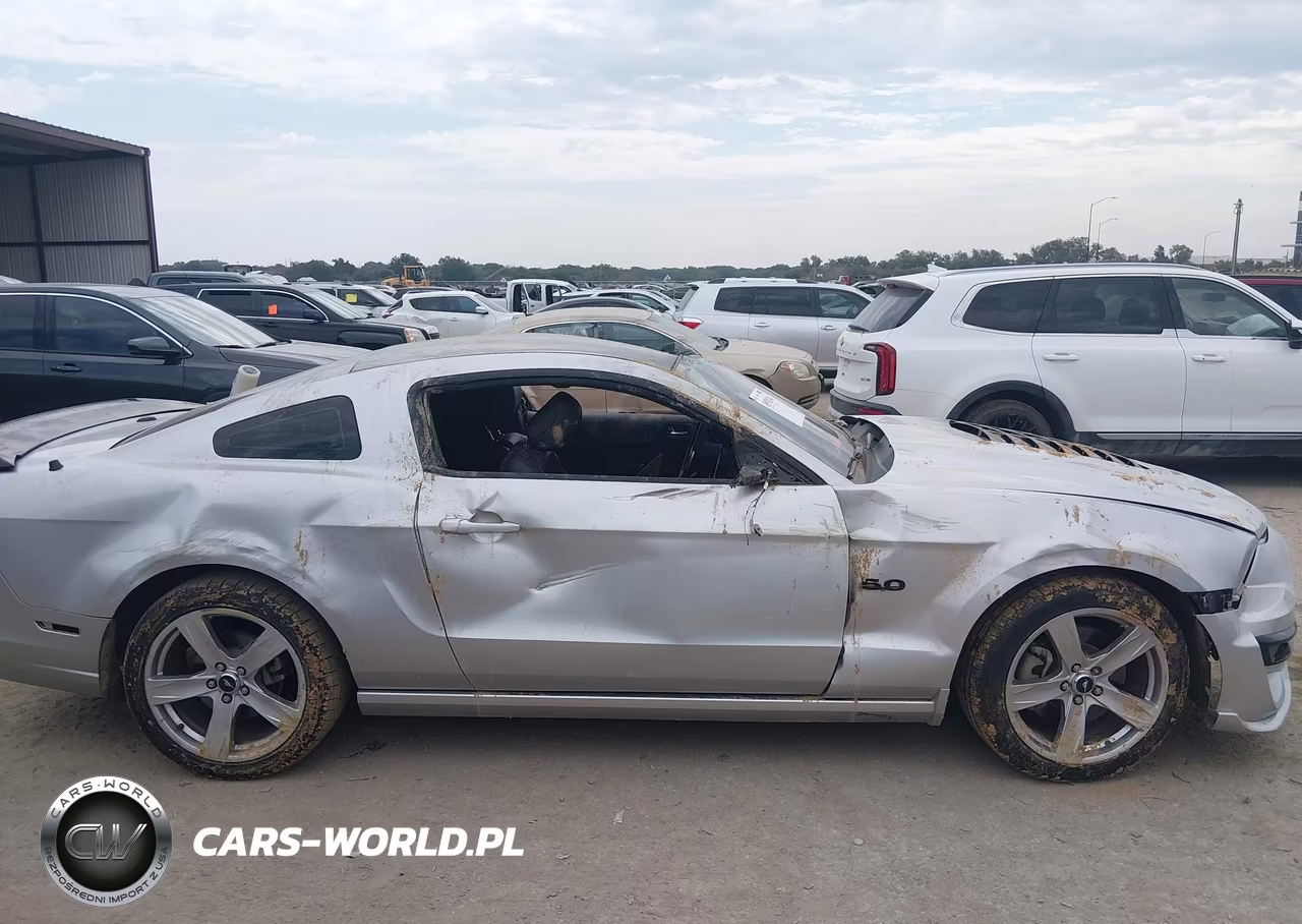 2013 Ford Mustang Gt Premium VIN:1ZVBP8CF9D5283748 - 13