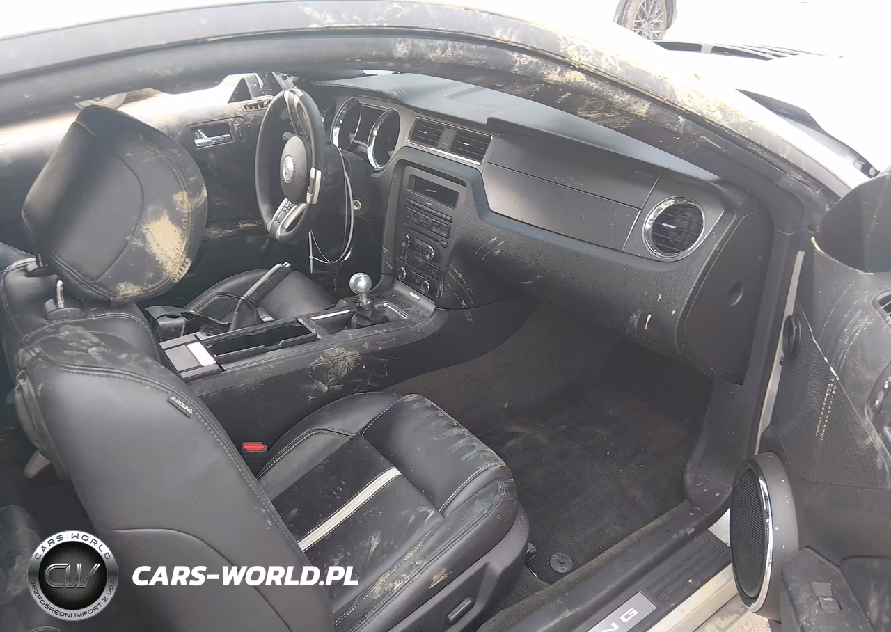 2013 Ford Mustang Gt Premium VIN:1ZVBP8CF9D5283748 - 5