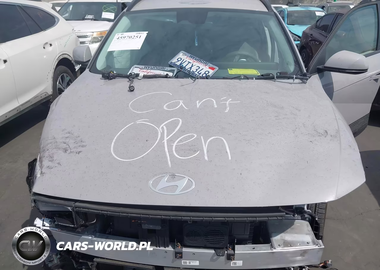 2025 Hyundai Ioniq 5 Sel VIN:7YAKN4DA8SY016996 - 10