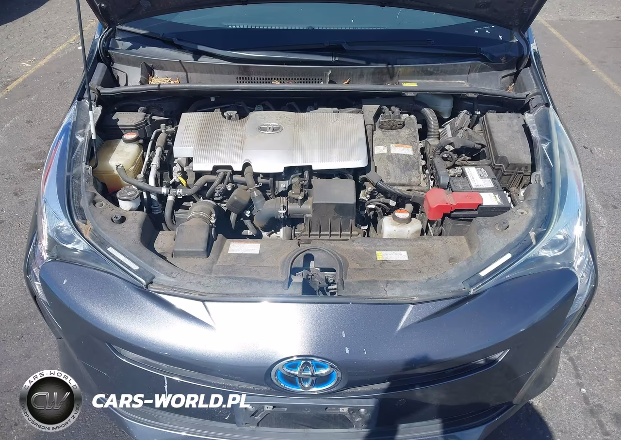 2016 Toyota Prius Three VIN:JTDKARFU5G3001917 - 10