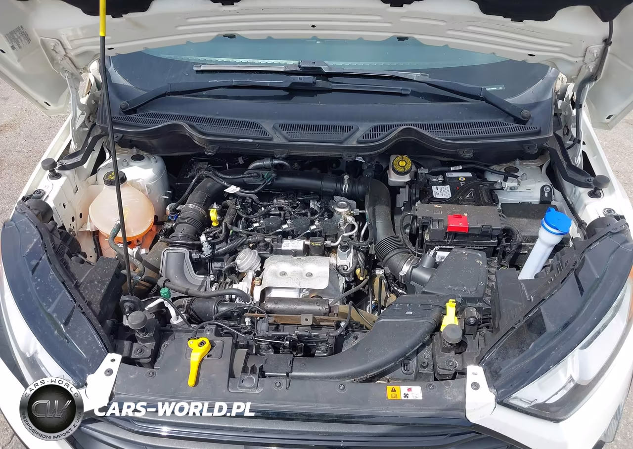 2021 Ford Ecosport S VIN:MAJ3S2FE1MC446500 - 10
