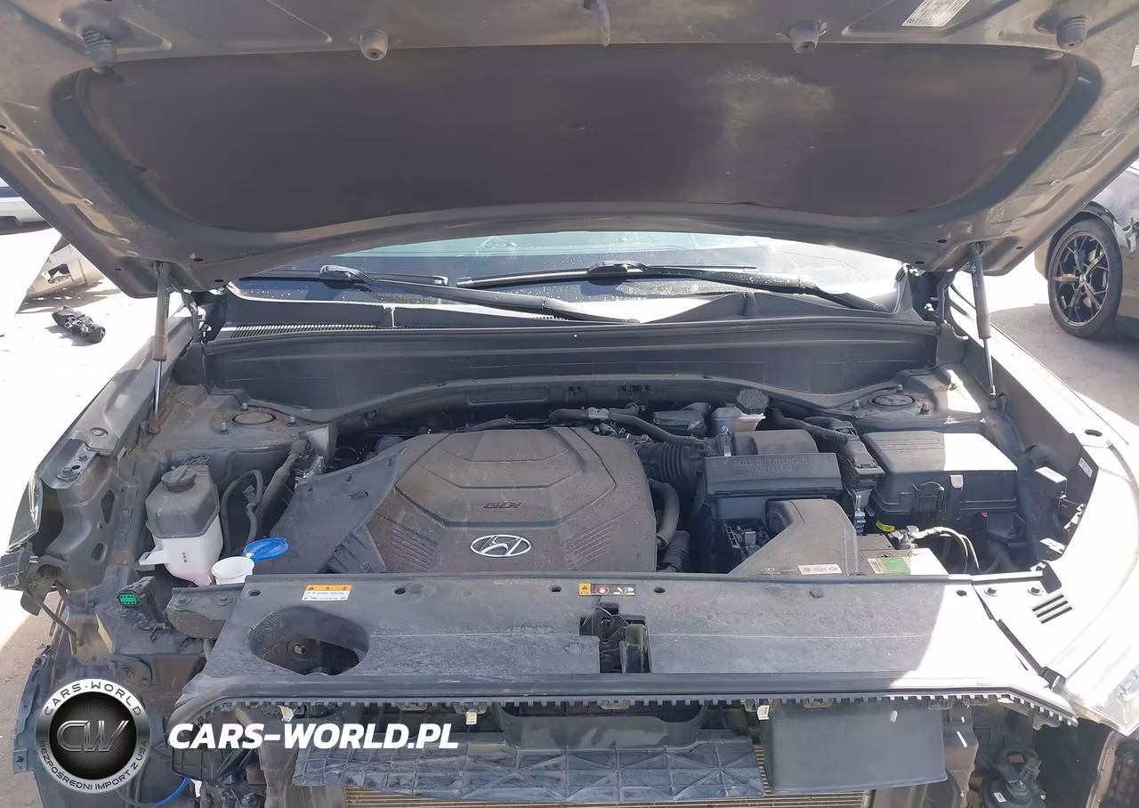2021 Hyundai Palisade Calligraphy VIN:KM8R7DHE7MU292332 - 10