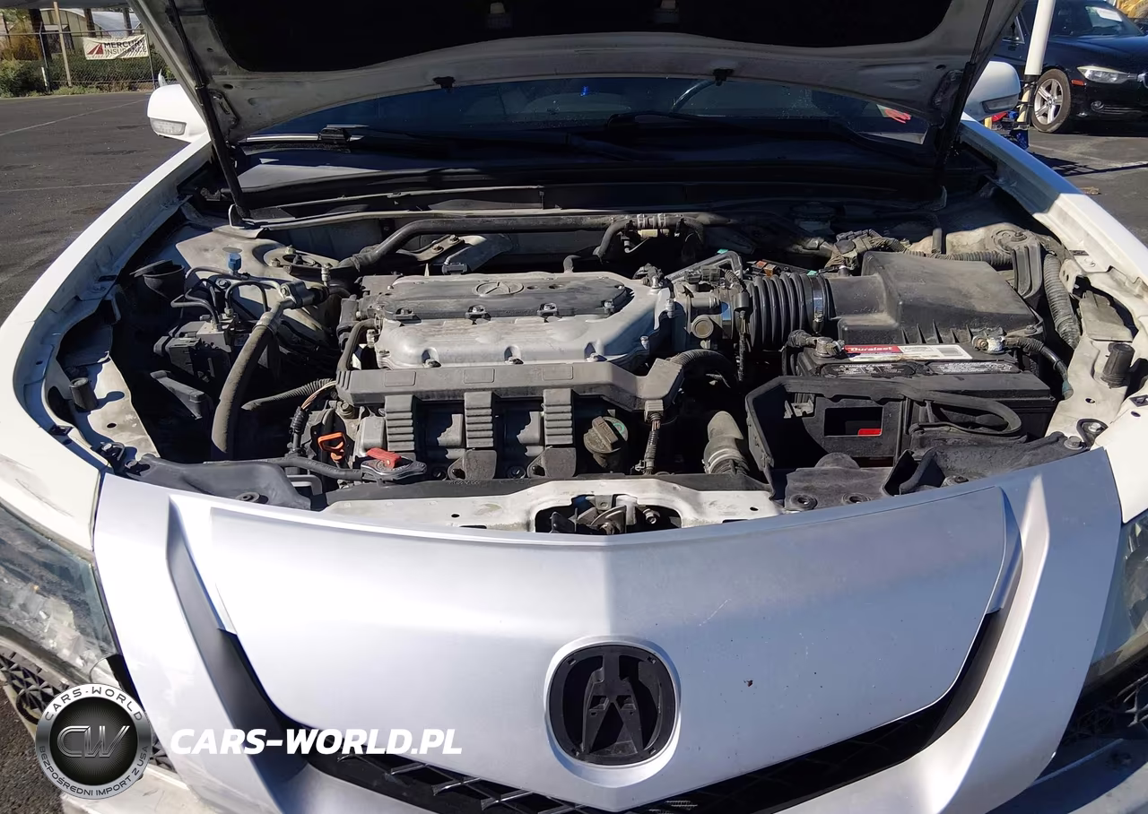 2009 Acura Tl 3.5 VIN:19UUA86539A007579 - 9