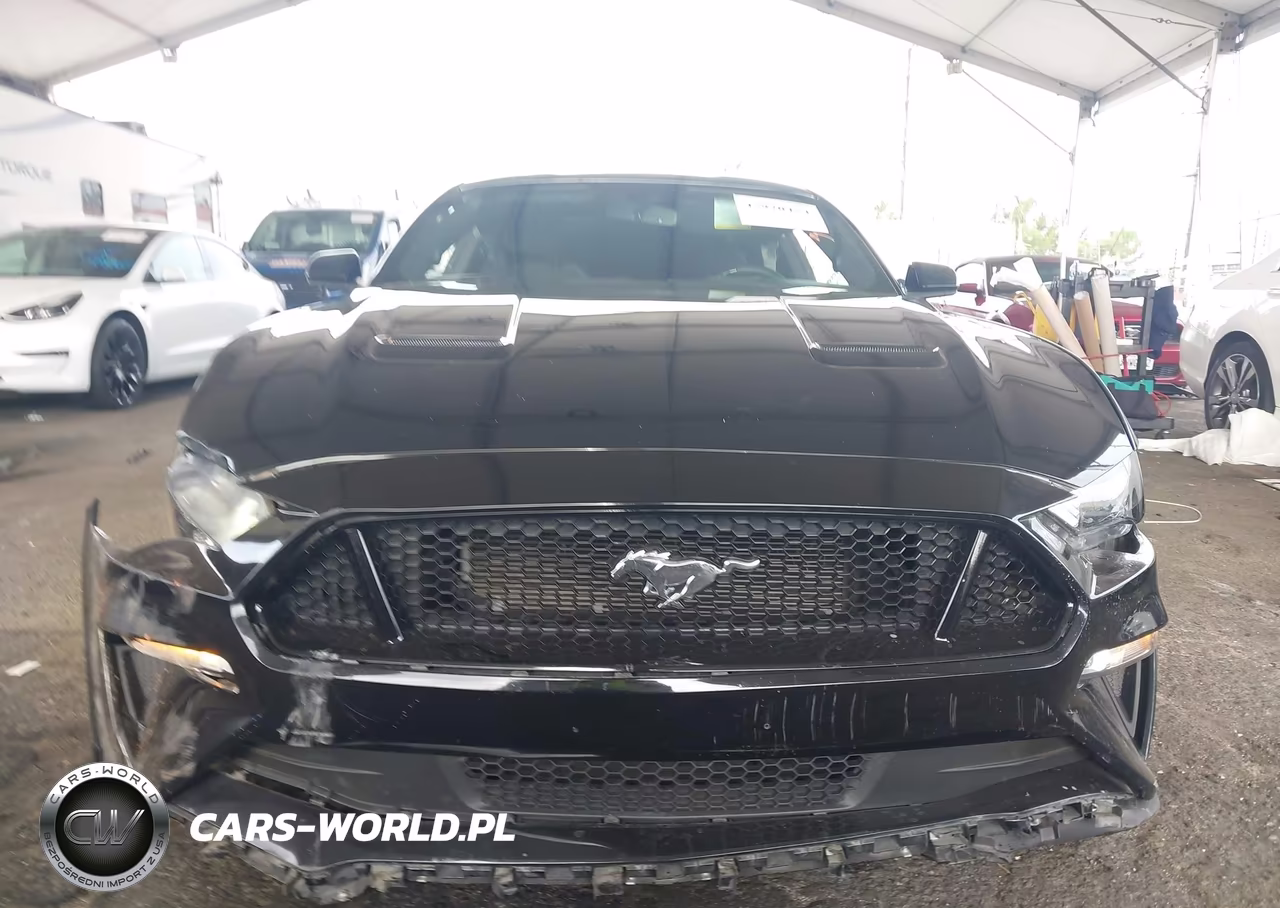 2018 Ford Mustang Gt VIN:1FA6P8CF1J5127130 - 12