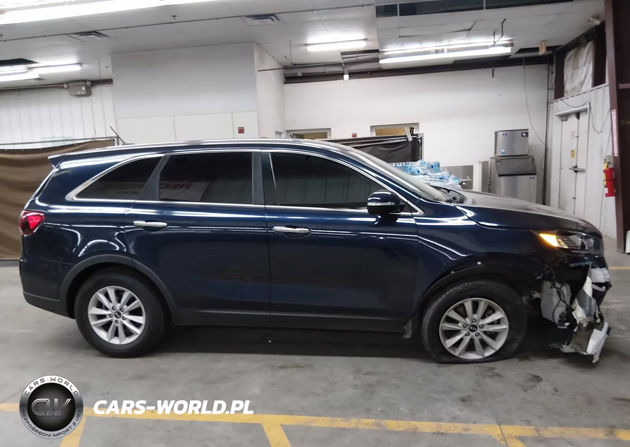 2020 Kia Sorento 2.4L Lx VIN:5XYPG4A32LG666866 - 13