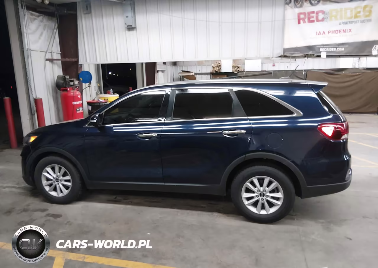 2020 Kia Sorento 2.4L Lx VIN:5XYPG4A32LG666866 - 14