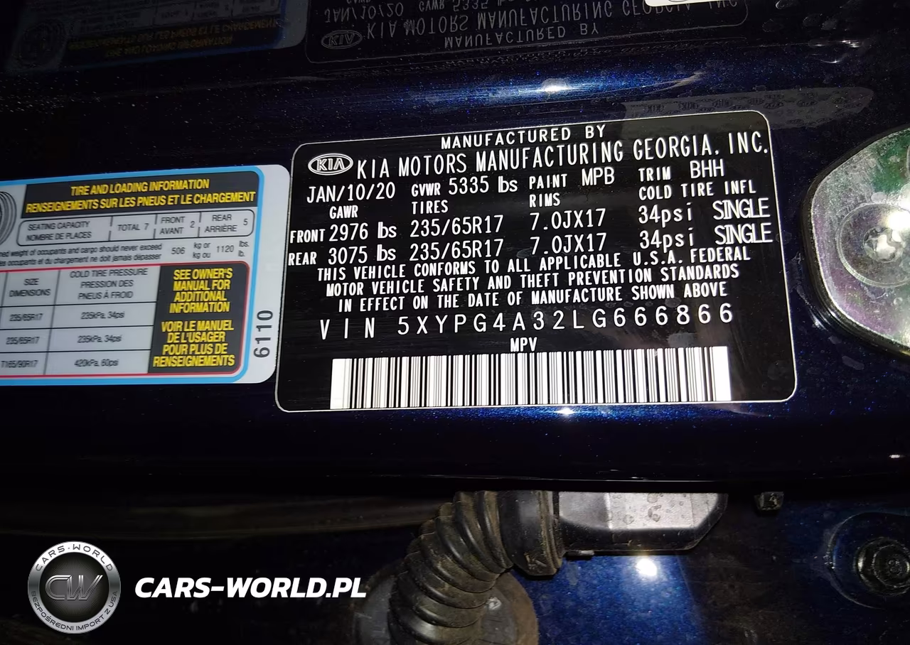 2020 Kia Sorento 2.4L Lx VIN:5XYPG4A32LG666866 - 9