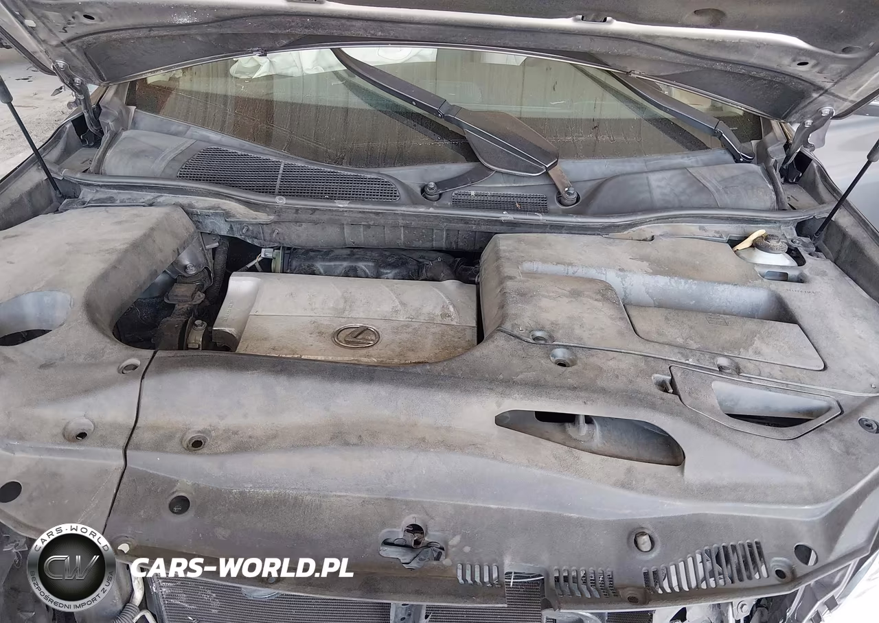 2014 Lexus Rx 350 VIN:JTJZK1BA6E2013079 - 10