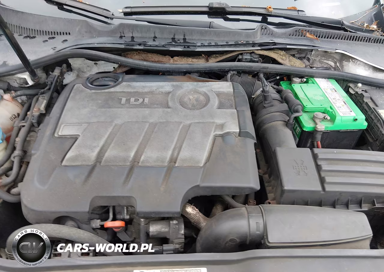 2010 Volkswagen Jetta Tdi VIN:3VWRL7AJ0AM139412 - 10