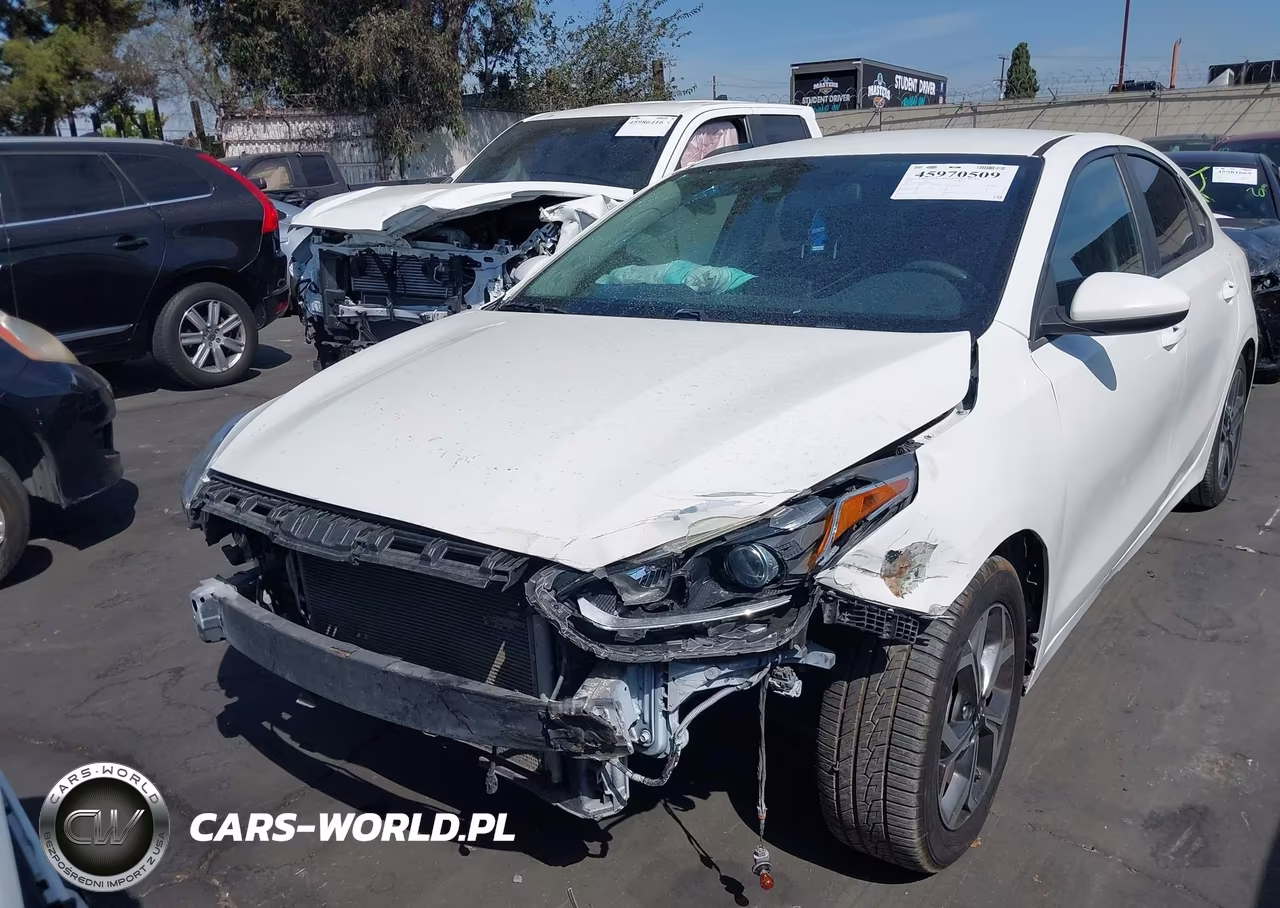 2019 Kia Forte S VIN:3KPF34AD4KE044281 - 12