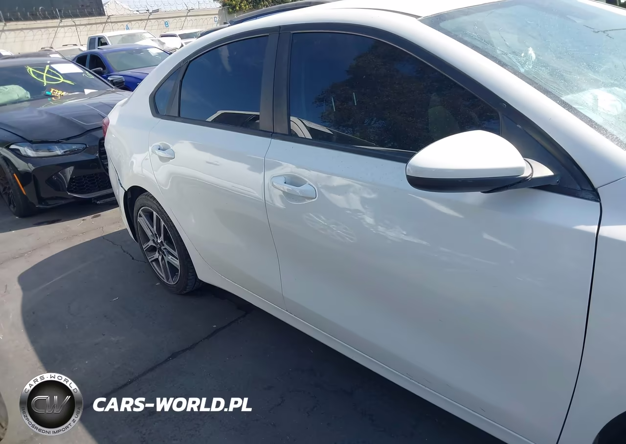 2019 Kia Forte S VIN:3KPF34AD4KE044281 - 13