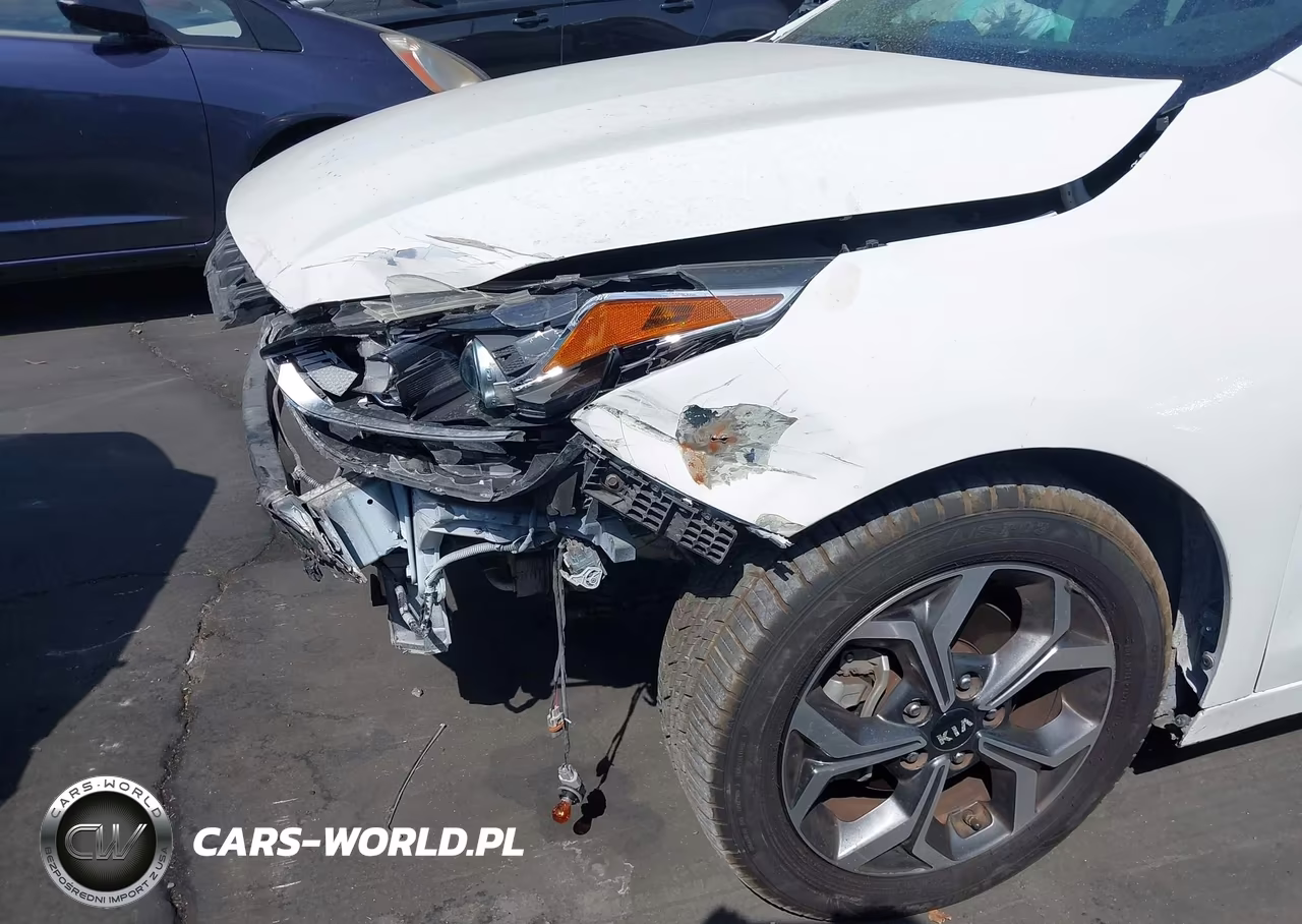 2019 Kia Forte S VIN:3KPF34AD4KE044281 - 19