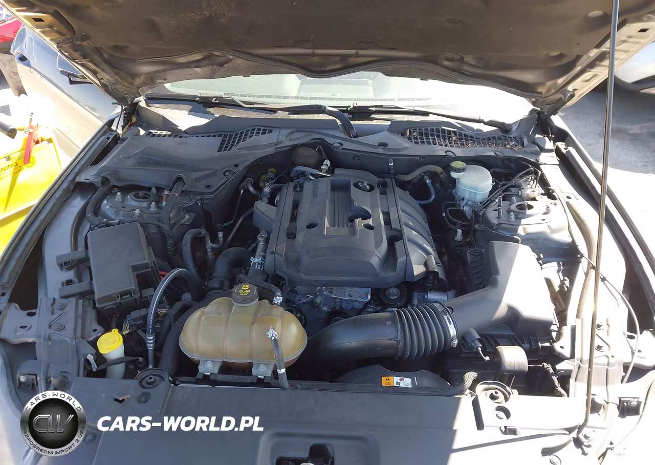 2015 Ford Mustang Ecoboost VIN:1FA6P8THXF5418489 - 10