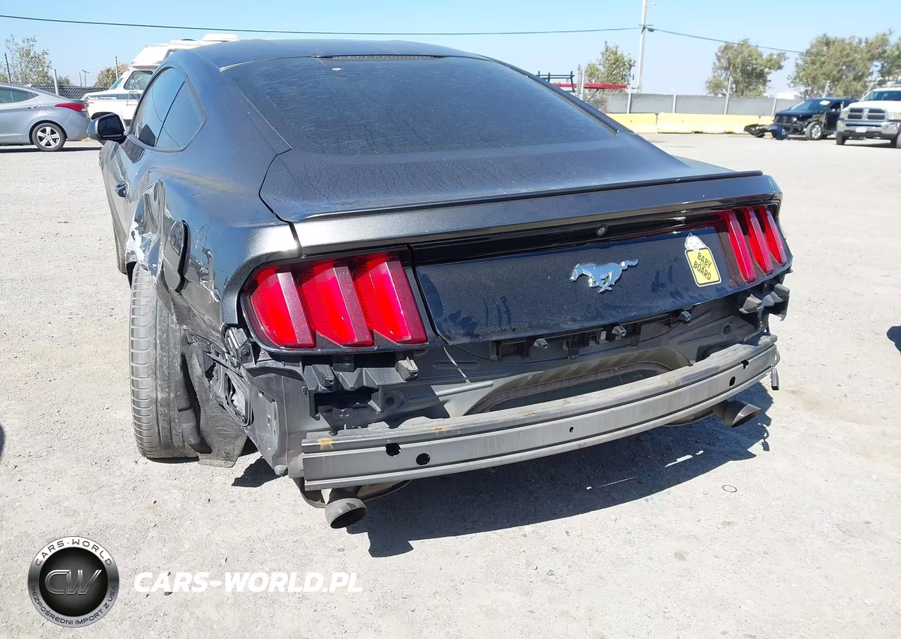 2015 Ford Mustang Ecoboost VIN:1FA6P8THXF5418489 - 13