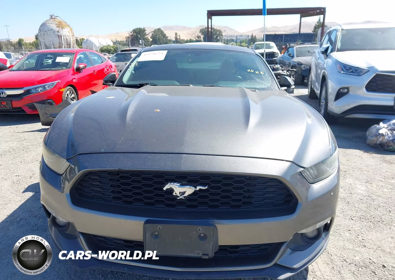 2015 Ford Mustang Ecoboost VIN:1FA6P8THXF5418489 - 14