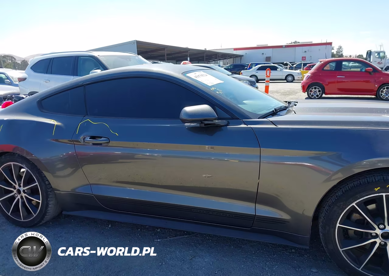 2015 Ford Mustang Ecoboost VIN:1FA6P8THXF5418489 - 15
