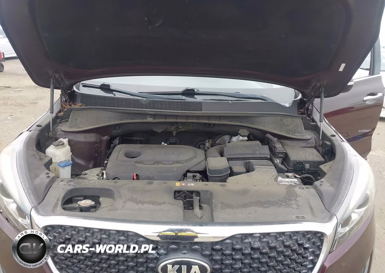 2017 Kia Sorento 2.4L Lx VIN:5XYPG4A30HG253464 - 10
