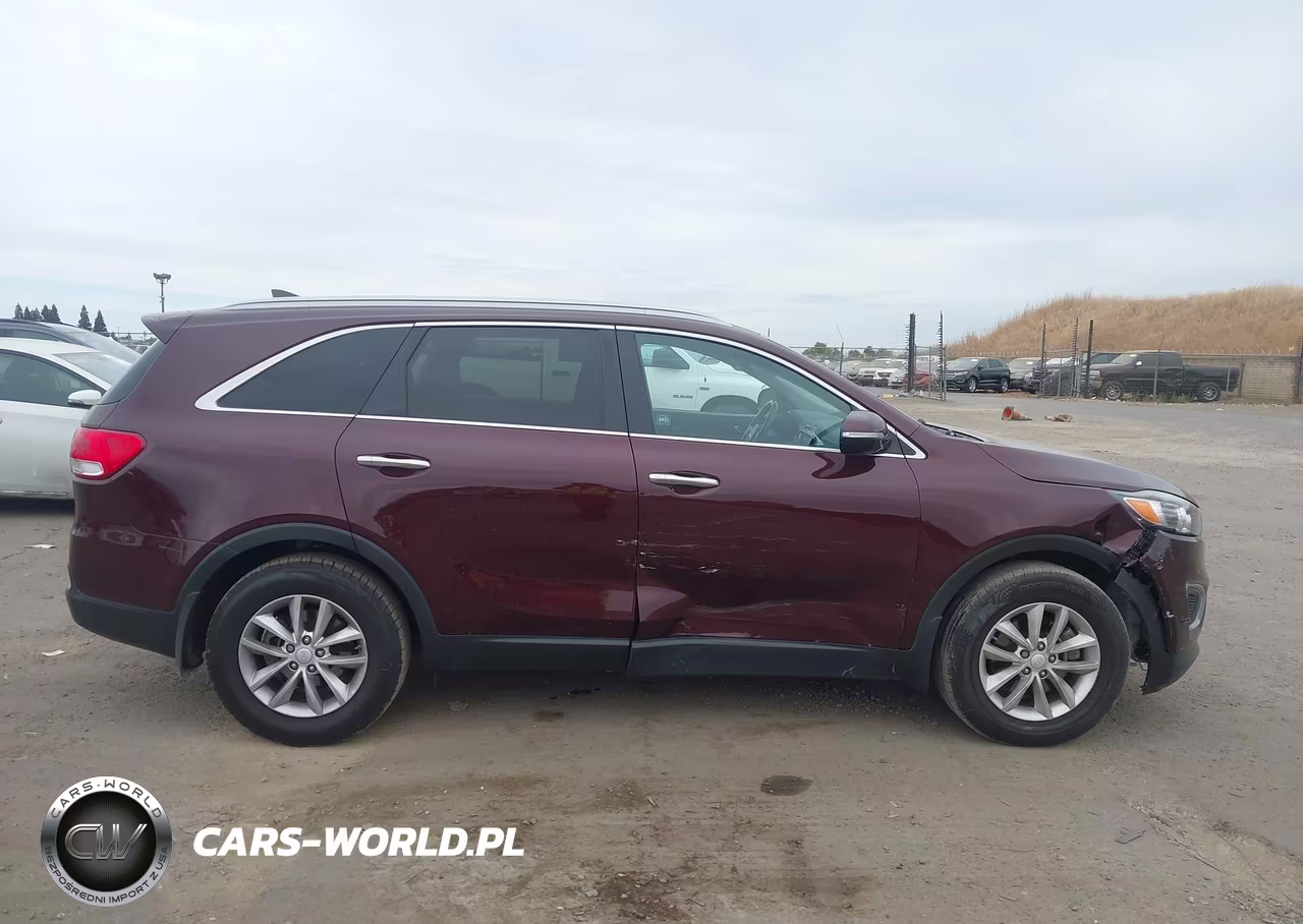 2017 Kia Sorento 2.4L Lx VIN:5XYPG4A30HG253464 - 13