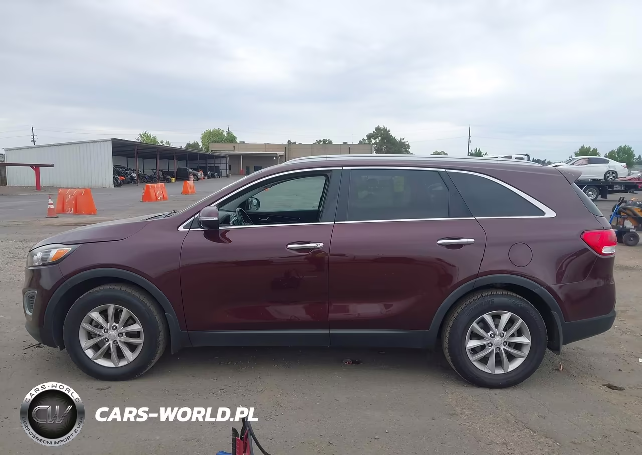 2017 Kia Sorento 2.4L Lx VIN:5XYPG4A30HG253464 - 14
