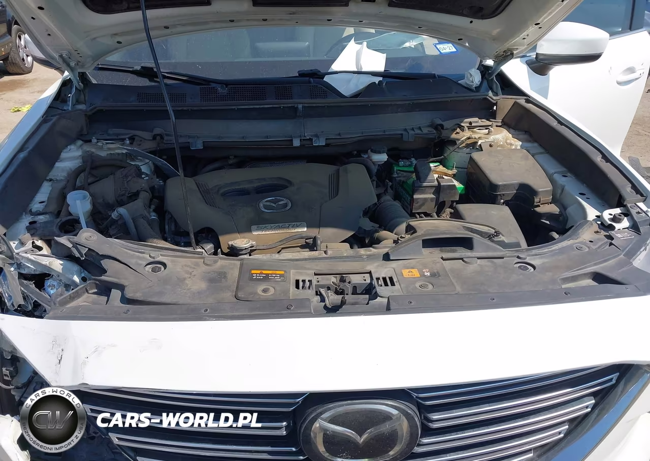 2017 Mazda Cx-9 Grand Touring VIN:JM3TCADY0H0136710 - 10