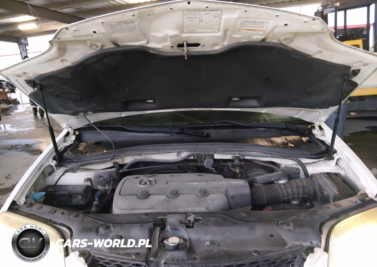 2006 Acura Mdx VIN:2HNYD18916H549088 - 10