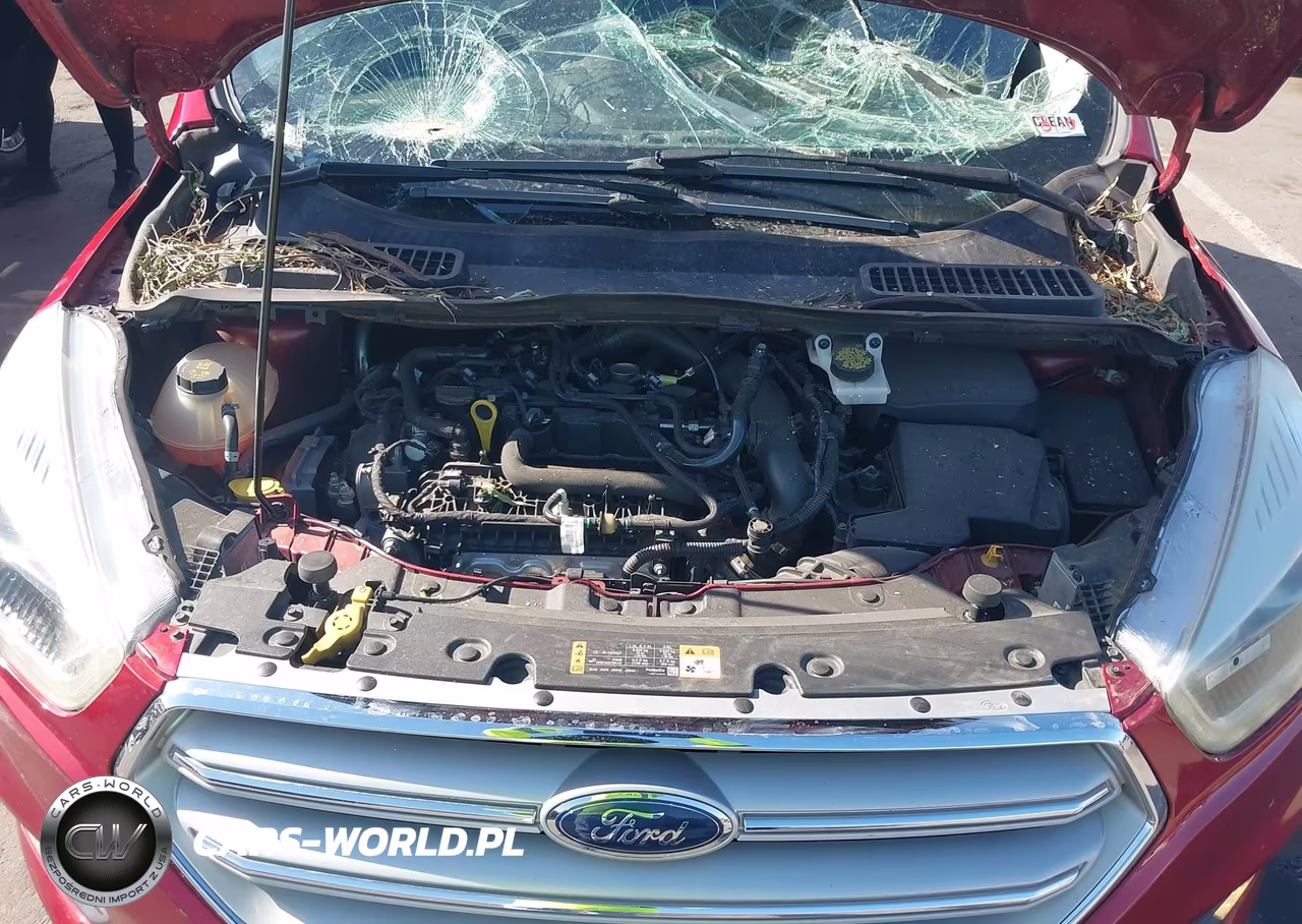 2019 Ford Escape Sel VIN:1FMCU0HD4KUB86626 - 10