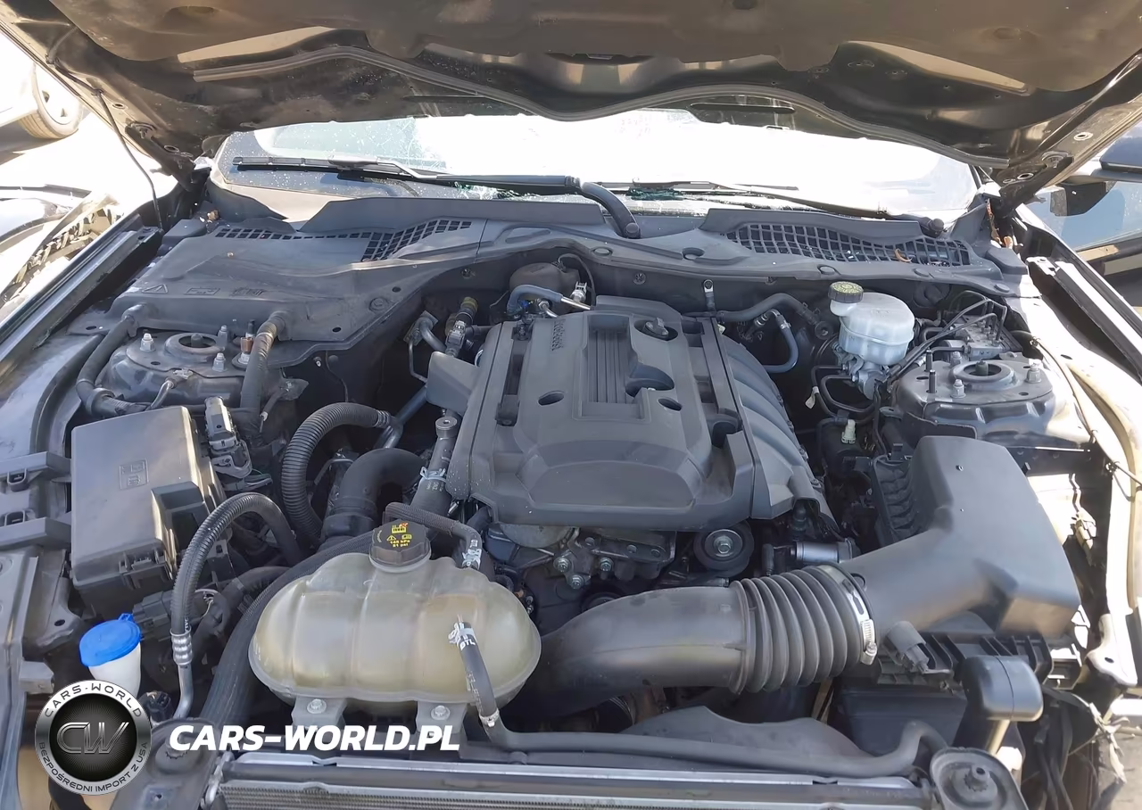 2020 Ford Mustang Ecoboost Fastback VIN:1FA6P8TH5L5100436 - 10