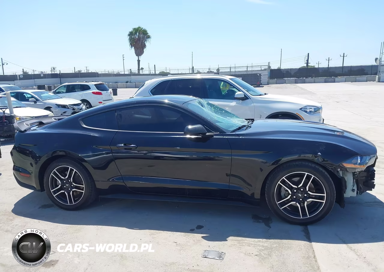 2020 Ford Mustang Ecoboost Fastback VIN:1FA6P8TH5L5100436 - 14
