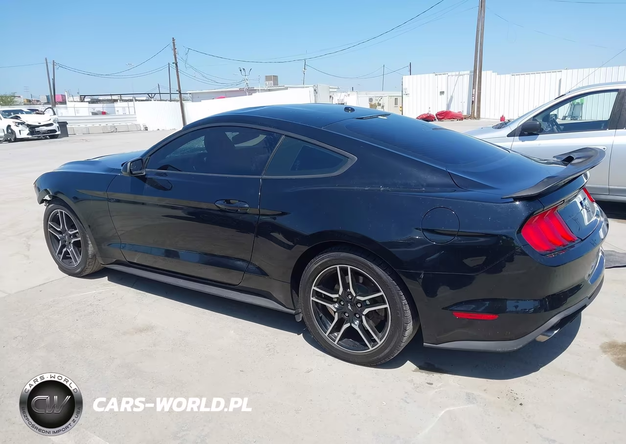 2020 Ford Mustang Ecoboost Fastback VIN:1FA6P8TH5L5100436 - 15
