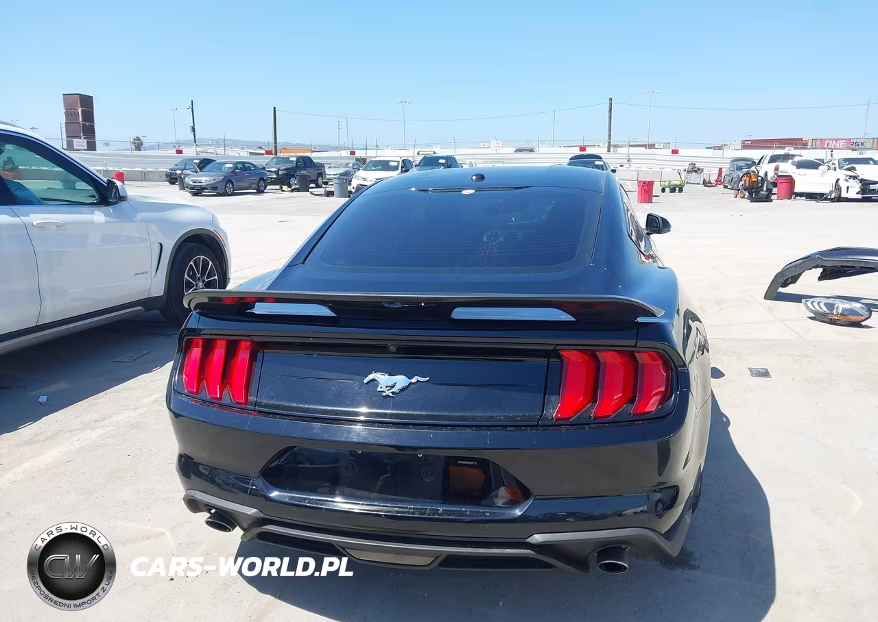 2020 Ford Mustang Ecoboost Fastback VIN:1FA6P8TH5L5100436 - 17