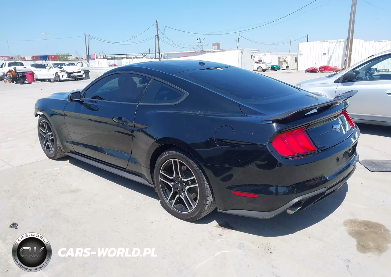 2020 Ford Mustang Ecoboost Fastback VIN:1FA6P8TH5L5100436 - 3