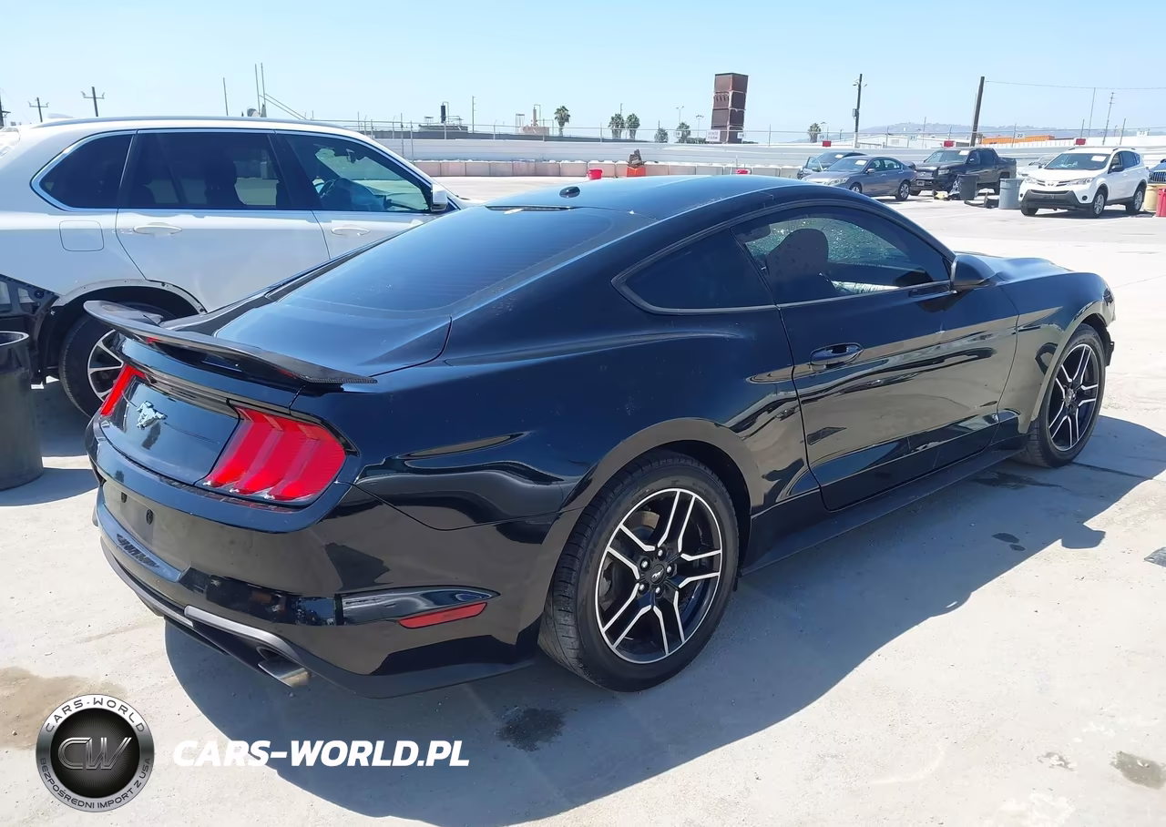 2020 Ford Mustang Ecoboost Fastback VIN:1FA6P8TH5L5100436 - 4