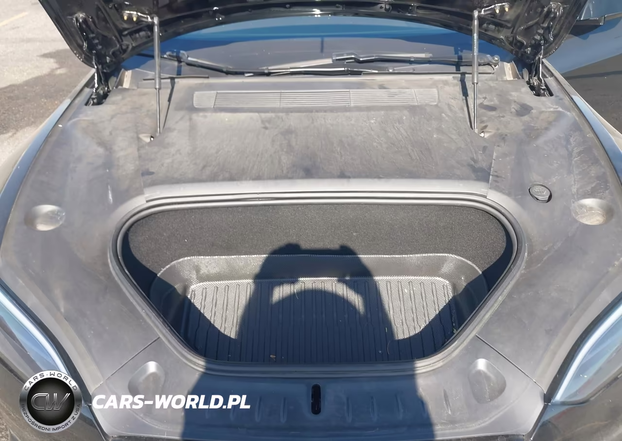 2023 Tesla Model S Dual Motor All-Wheel Drive-Standard Range VIN:5YJSA1E50PF528875 - 10