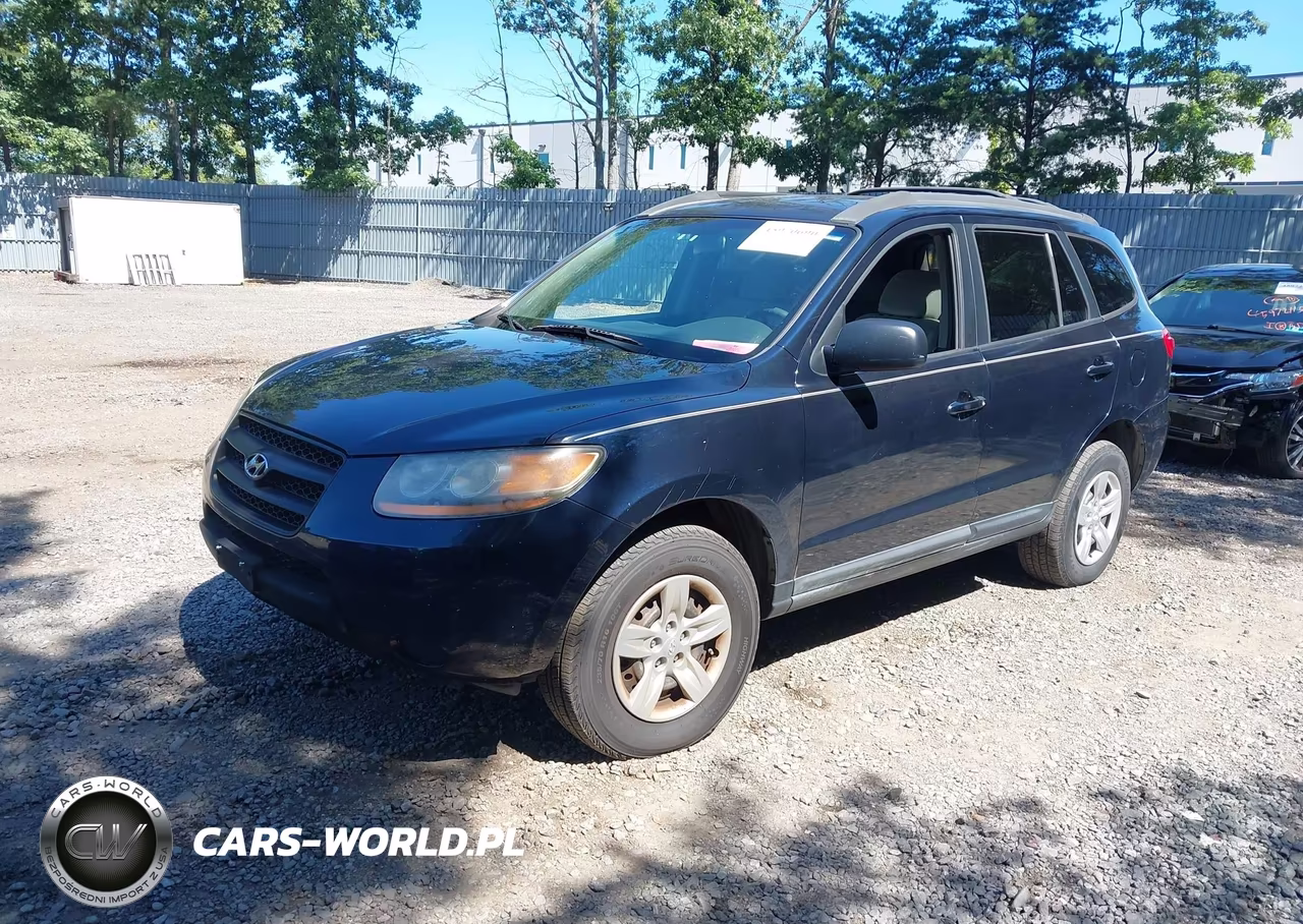 2009 Hyundai Santa Fe Gls VIN:5NMSG13D99H312324 - 2