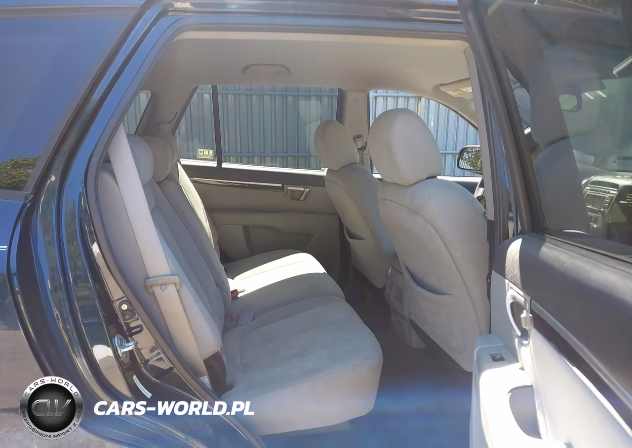 2009 Hyundai Santa Fe Gls VIN:5NMSG13D99H312324 - 8