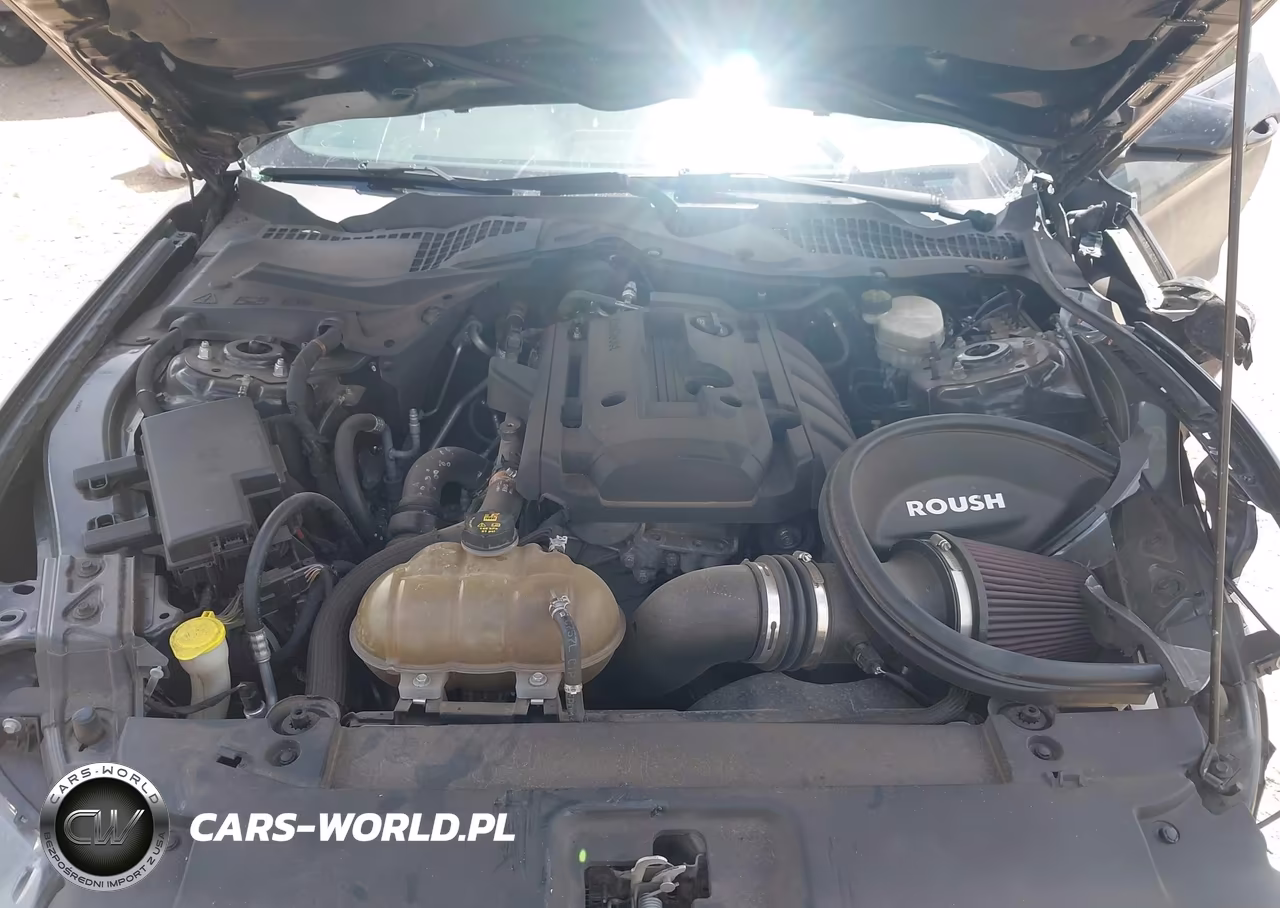 2015 Ford Mustang Ecoboost VIN:1FA6P8TH2F5311212 - 10