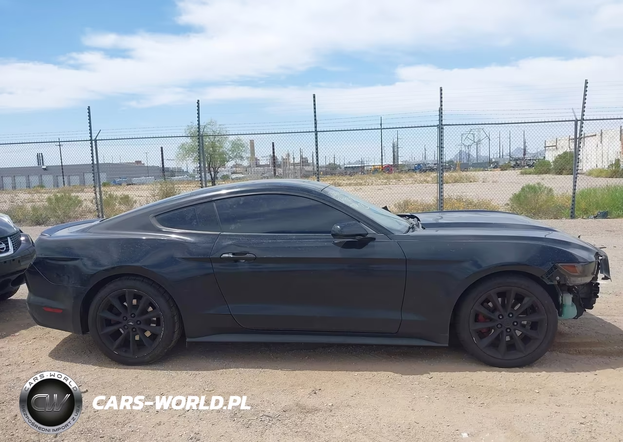 2015 Ford Mustang Ecoboost VIN:1FA6P8TH2F5311212 - 13